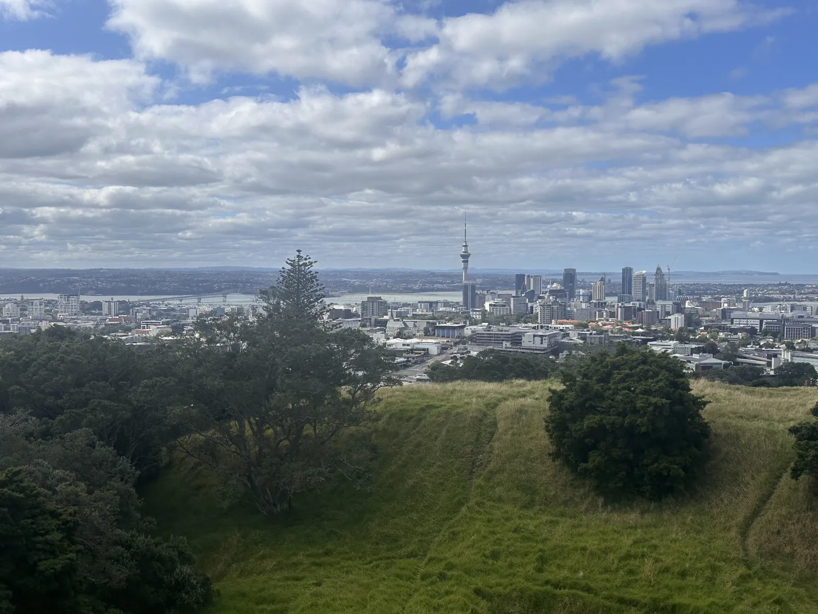 Auckland's downtown skyline and Sky Tower seen across the grassy summit of Mount Eden