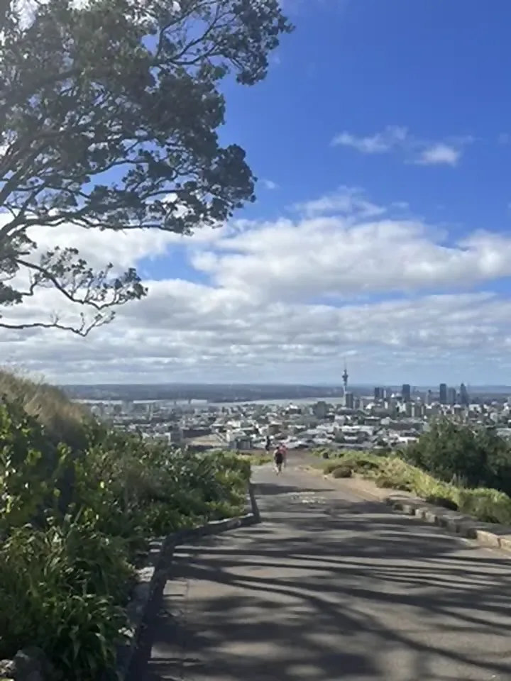 A paved path curving down the grassy flank of Mount Eden, a native tree arching overhead on the left and Auckland's downtown skyline and Sky Tower spread out in the hazy distance